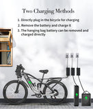 Nathaniel Electric Bike 48V 27.5-inch dirt bike with soft-tail shock absorbers Mountain Bike 20Ah lithium battery electric bike